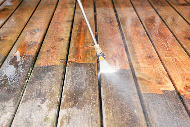 Best Roof Power Washing Services  in Port Sulphur, LA